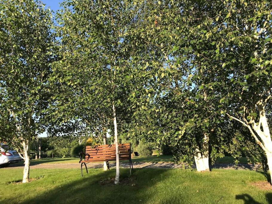 Lovely With Outdoor Area Apartment Benedikt v Slovenskih Goricah